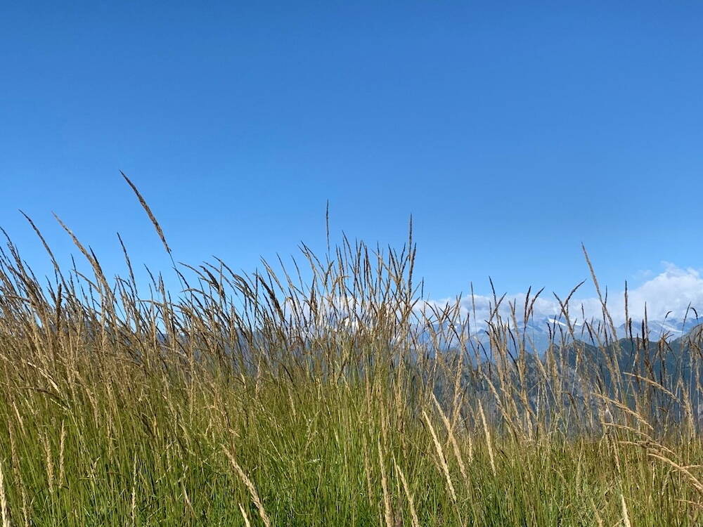 Ayurvedisches Reinigen und Fasten