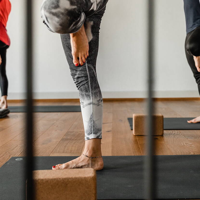 Yoga Baum Gruppe Stundenplan & Preise