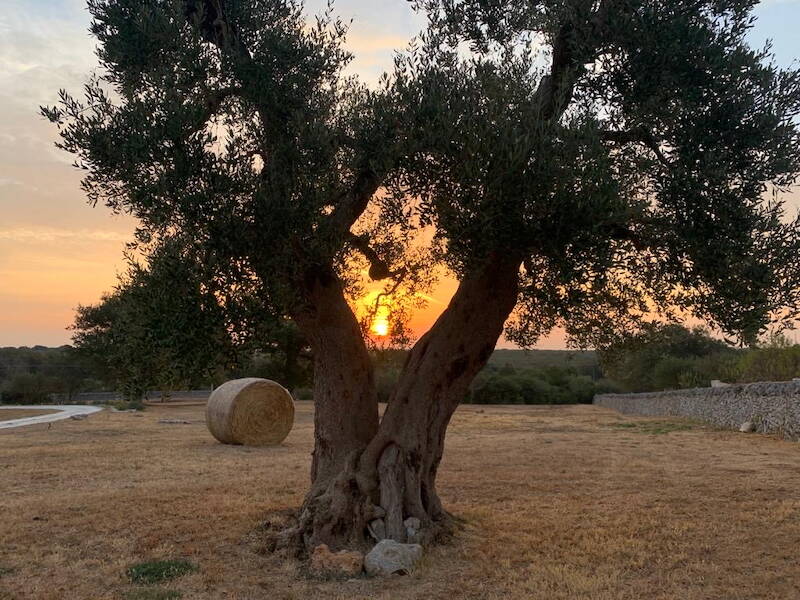 Yoga Retreat Apulien Yoga Retreat Apulien