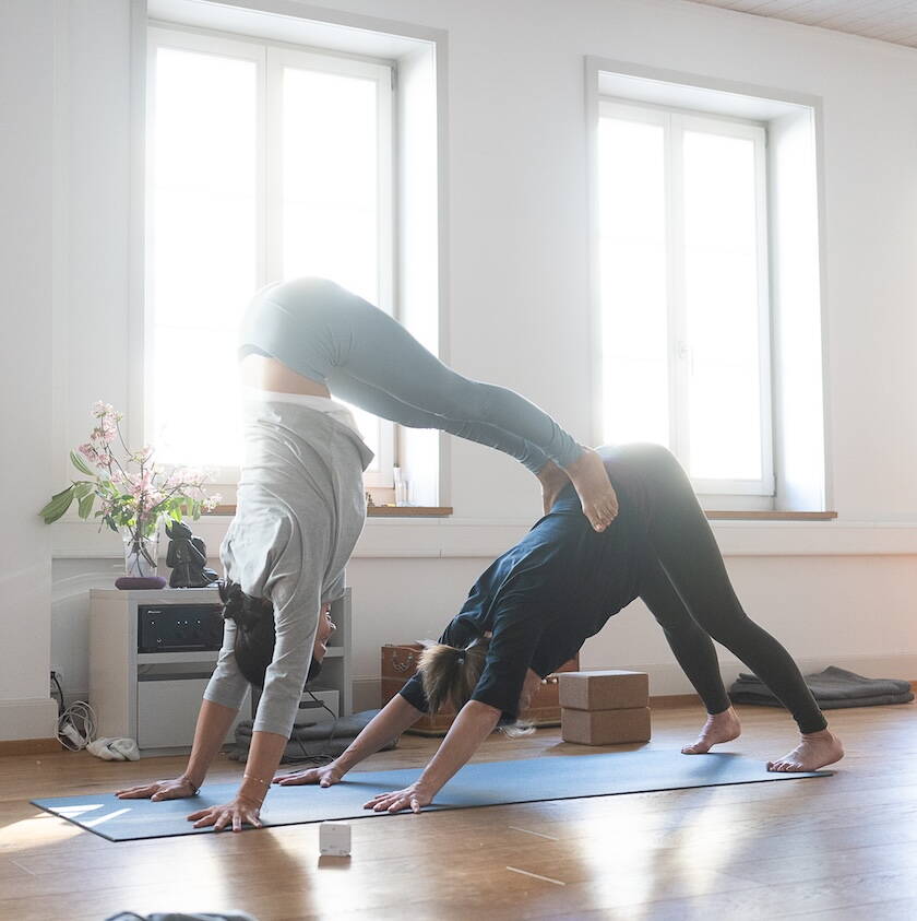 Yoga Adjustment Hund
